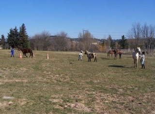 Equitation enfant dans le 13